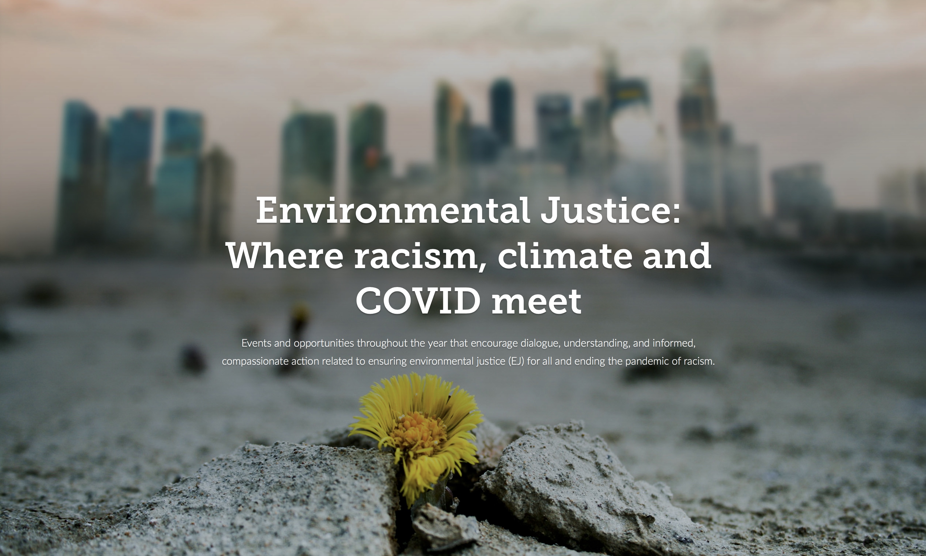 Screenshot of Environmental Justice Website
