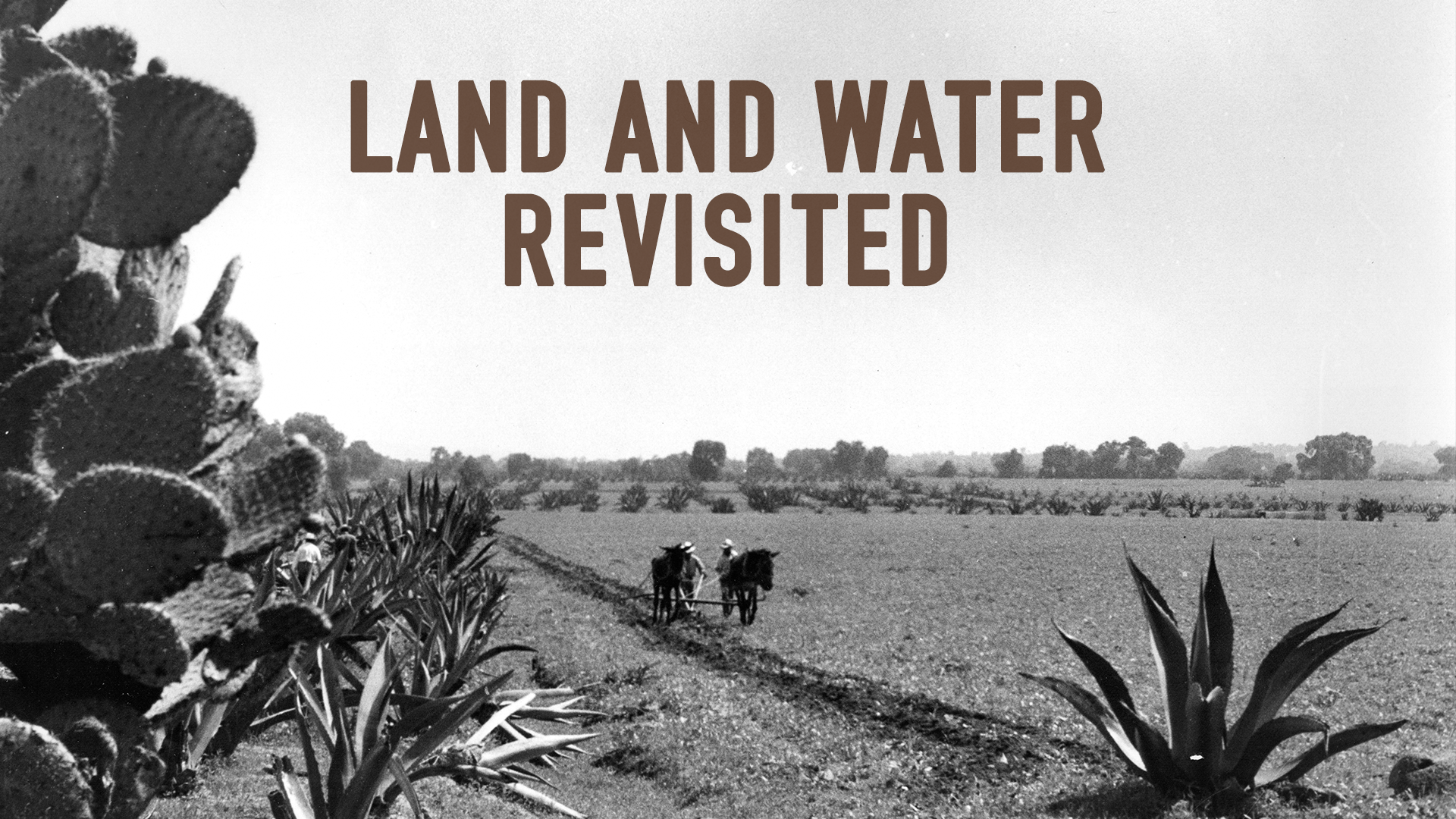 Land and Water Revisited poster