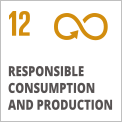 Responsible Consumption and Production