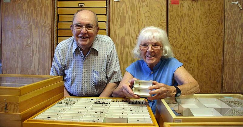 Film still of elderly couple with insect collection