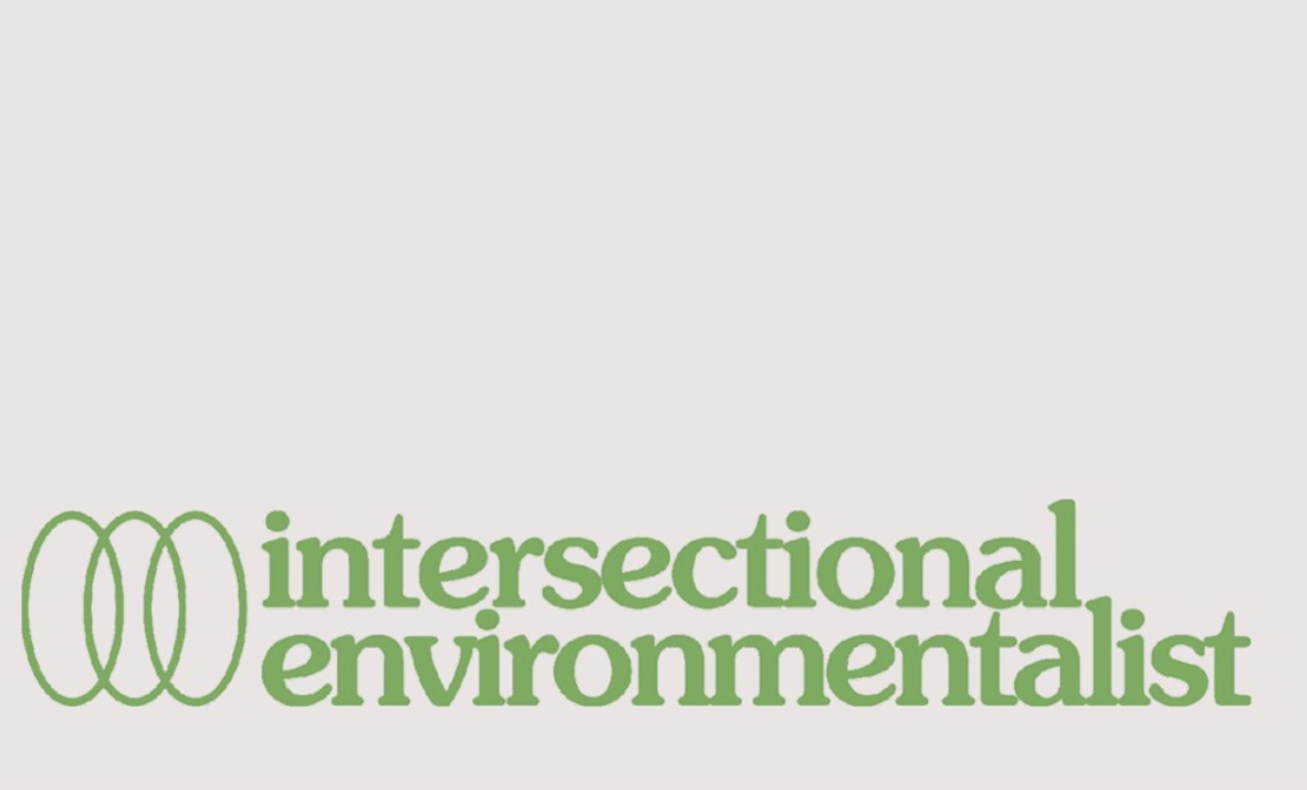 Graphic reading "Intersectional environmentalist"