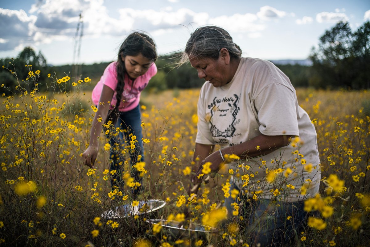 Woman and her granddaughter gathering seeds