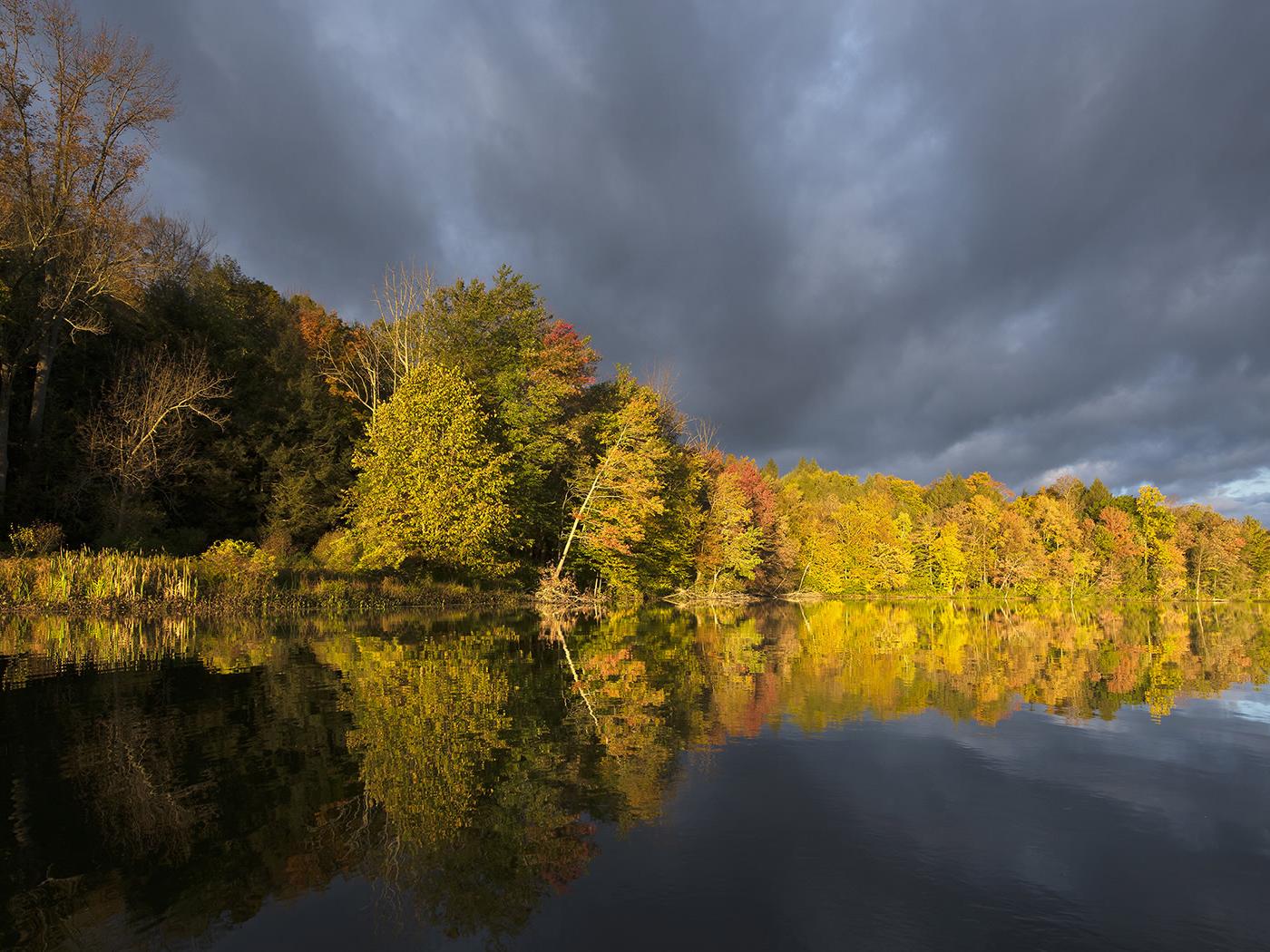 Photo of lake reflecting trees along shoreline