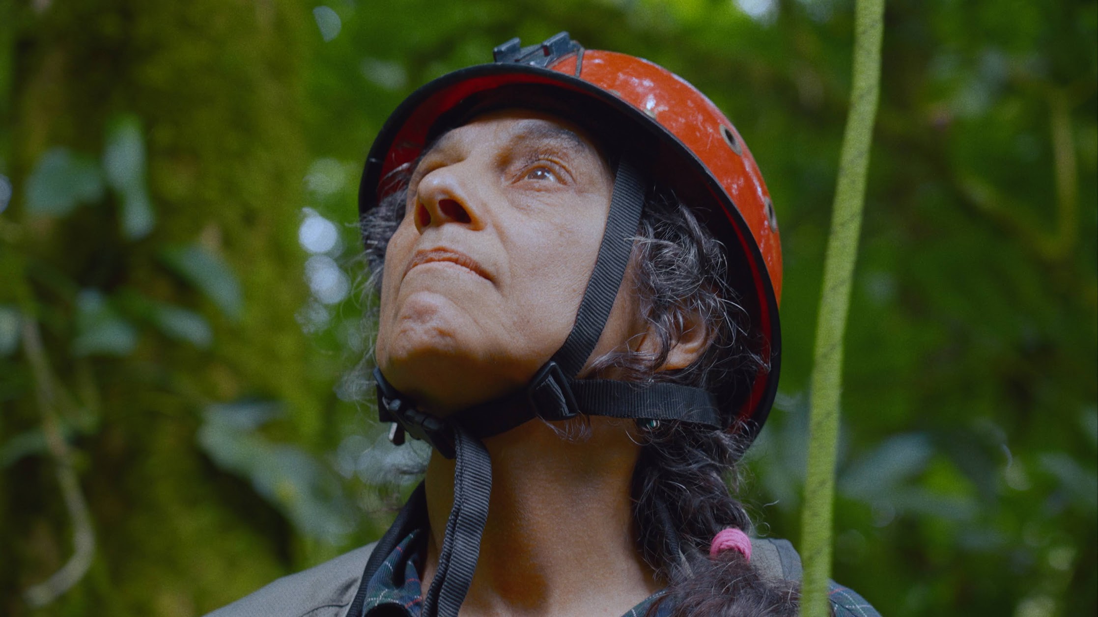 Ecologist Nalini Nadkarni in a helmet looking up into the tree canopy